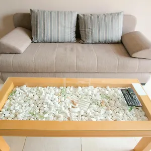  Apartman Paradiso